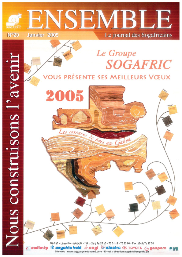 JOURNAL ENSEMBLE N°20